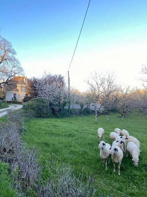 La Grangette De Paunac Cazillac France